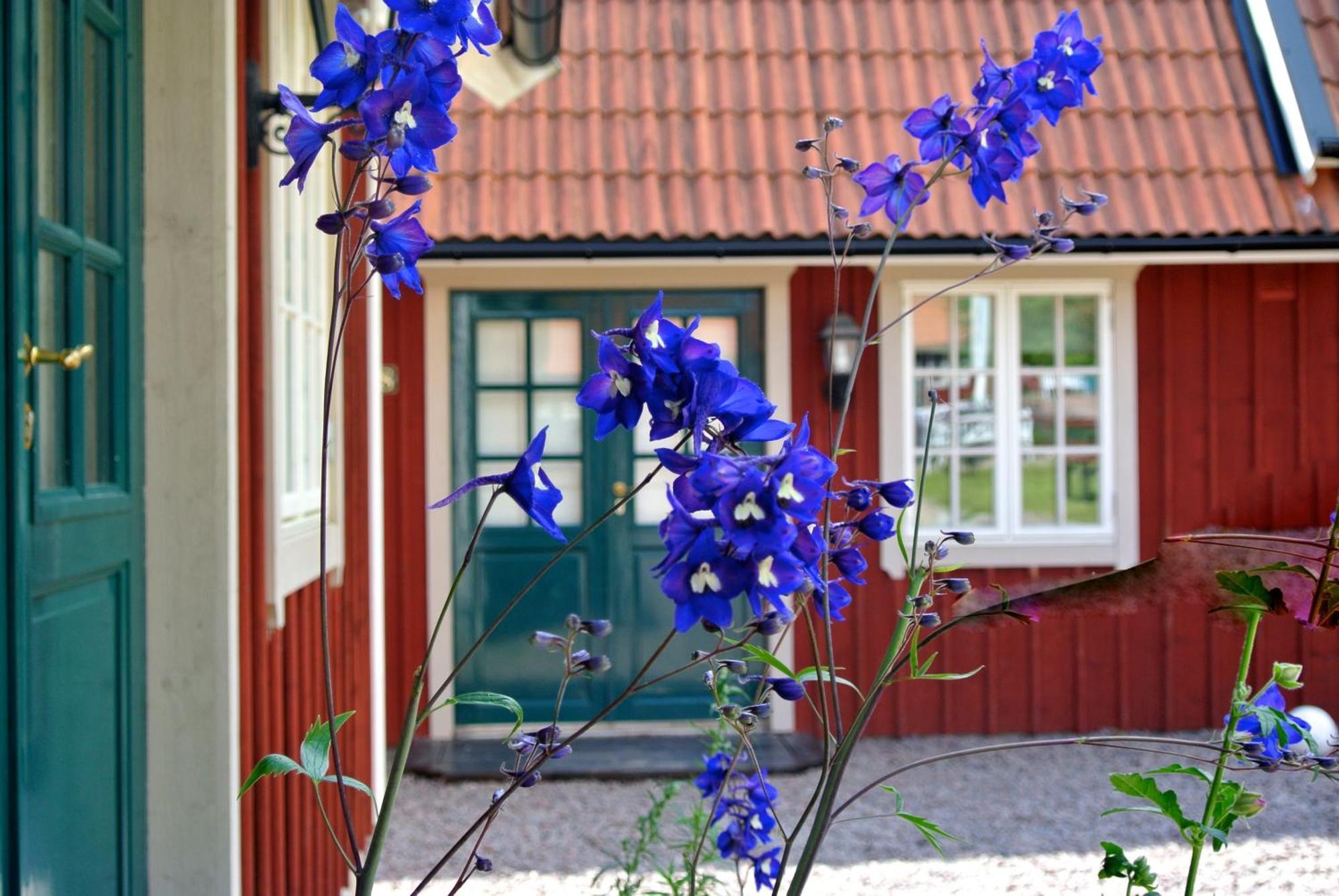 Hotel Oxgarden à Vimmerby Extérieur photo